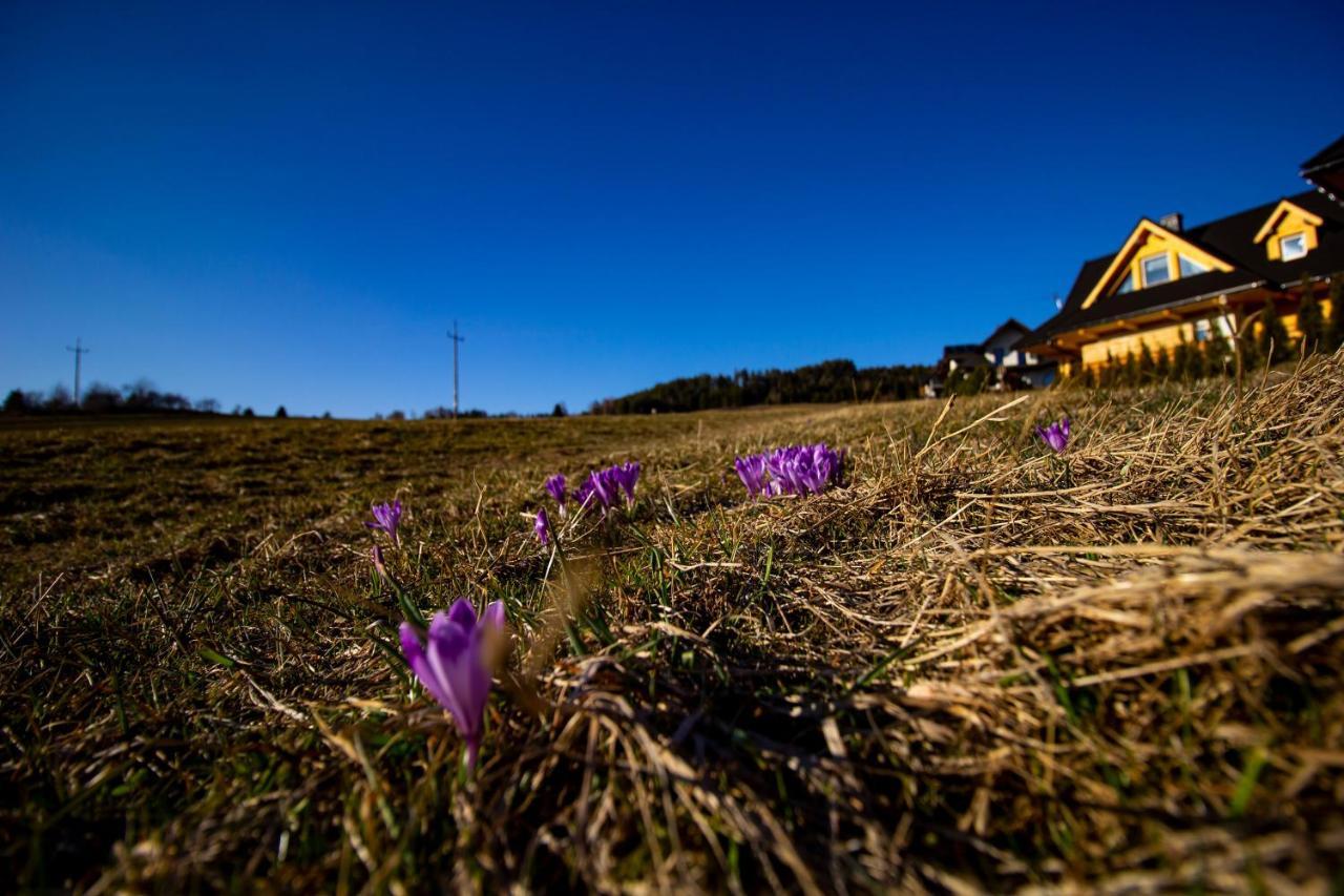 Em Gorce Resort Domki Z Sauna I Jacuzzi Waksmund Exterior photo